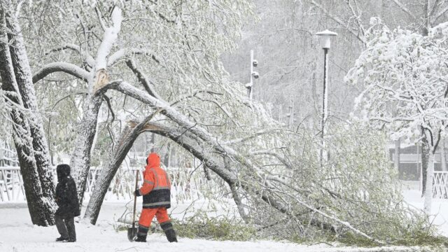 Снег в Москве - РИА Новости, 1920, 27.04.2026