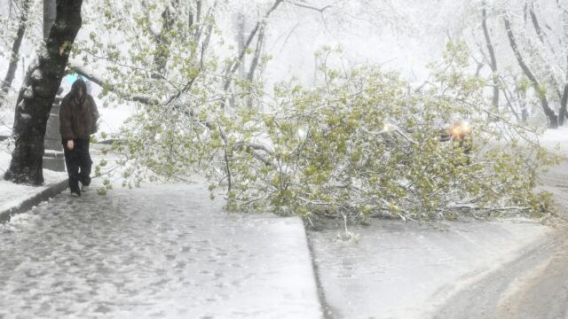 Снег в Москве - РИА Новости, 1920, 27.04.2026