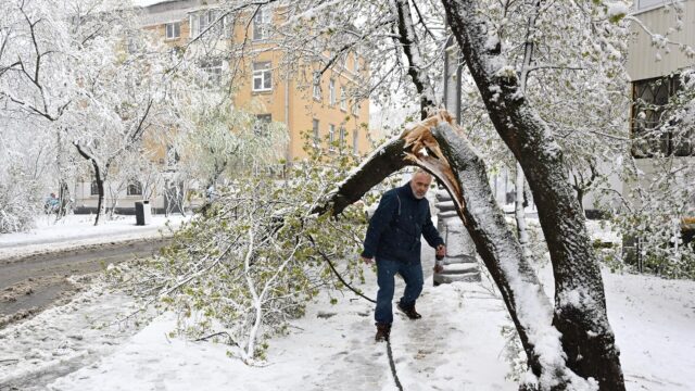 Снег в Москве, 27.04.26. - РИА Новости, 1920, 27.04.2026