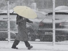 Снег в Москве , 27.04.26 - РИА Новости, 1920, 27.04.2026