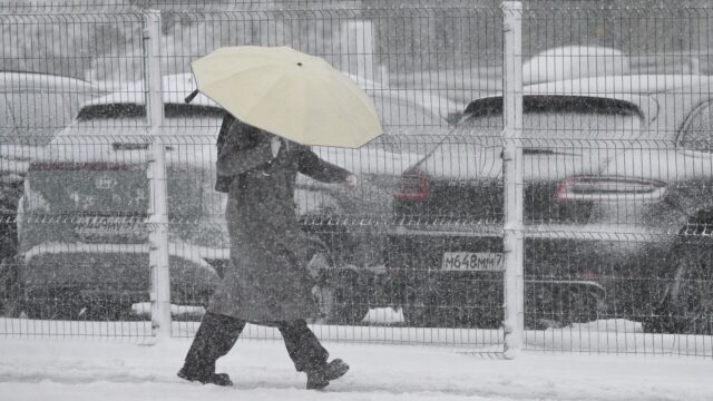 Снег в Москве , 27.04.26 - РИА Новости, 1920, 27.04.2026