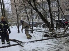 Сотрудники МЧС России ликвидируют последствия непогоды в Подмосковье - РИА Новости, 1920, 27.04.2026