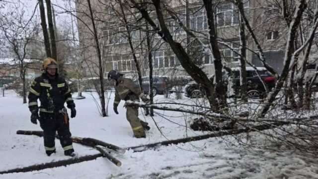 Сотрудники МЧС России ликвидируют последствия непогоды в Подмосковье - РИА Новости, 1920, 27.04.2026