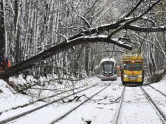 Последствия снегопада в Москве - РИА Новости, 1920, 28.04.2026