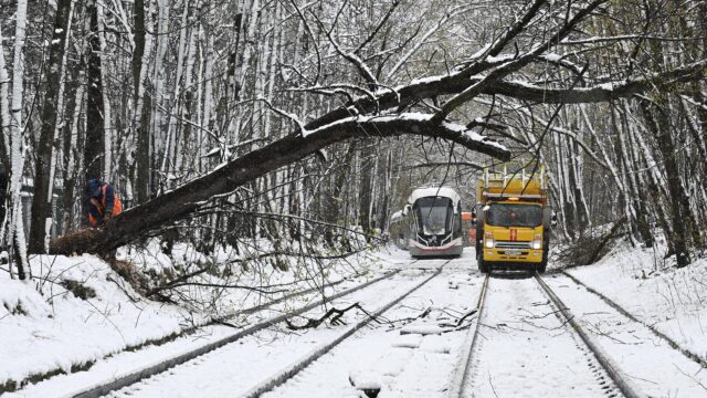 Последствия снегопада в Москве - РИА Новости, 1920, 28.04.2026