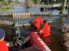 Спасатели МЧС России оказывают помощь населению в Колыванском районе - РИА Новости, 1920, 28.04.2026
