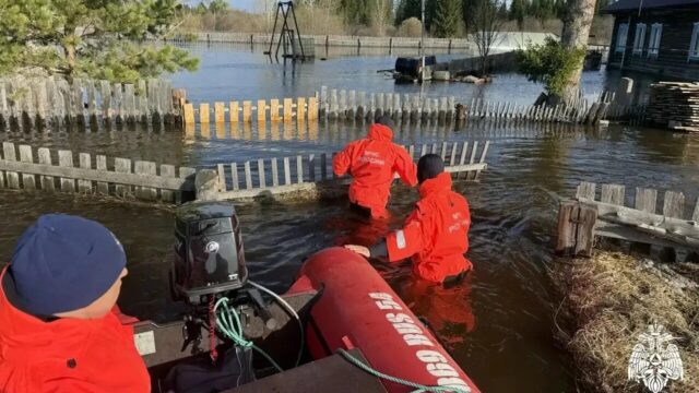 Спасатели МЧС России оказывают помощь населению в Колыванском районе - РИА Новости, 1920, 28.04.2026