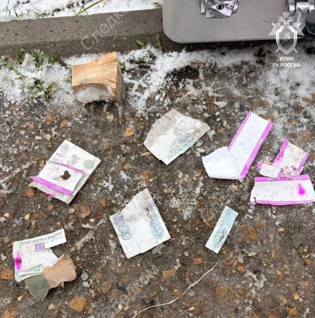 b49e5292-5723-44f6-a656-b8f327207d25