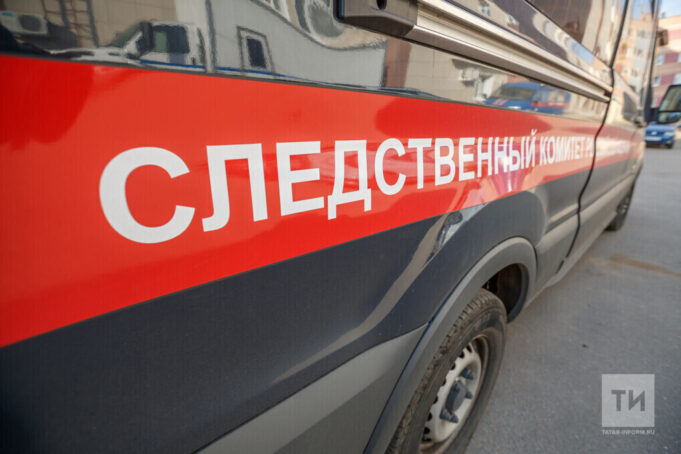 Председателю СК России представят доклад об обстоятельствах нападения собак на ребенка в Иркутской области bb901c64de0d005112d9572d96f20862_4_