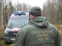 В центральный аппарат СК России представят доклад о ходе проверки информации о нарушении прав ребенка в Санкт-Петербурге img_1251_17_