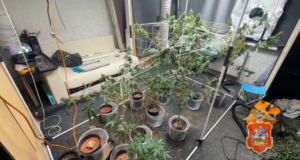 tg0g29usv7fvwfkegcpzdm2eij305t9e