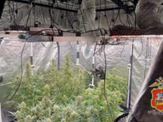 v5v3b4gq5ourooay9yboo9llycown1s8