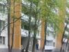 Трубу с горячей водой прорвало на западе Москвы. Смыло даже асфальт.