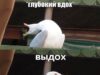 Глубокие вдохи — всё. На 6 миллионов рублей оштрафовали организацию, устанавливающую рекорды по заде