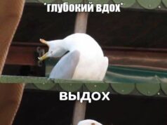 Глубокие вдохи — всё. На 6 миллионов рублей оштрафовали организацию, устанавливающую рекорды по заде