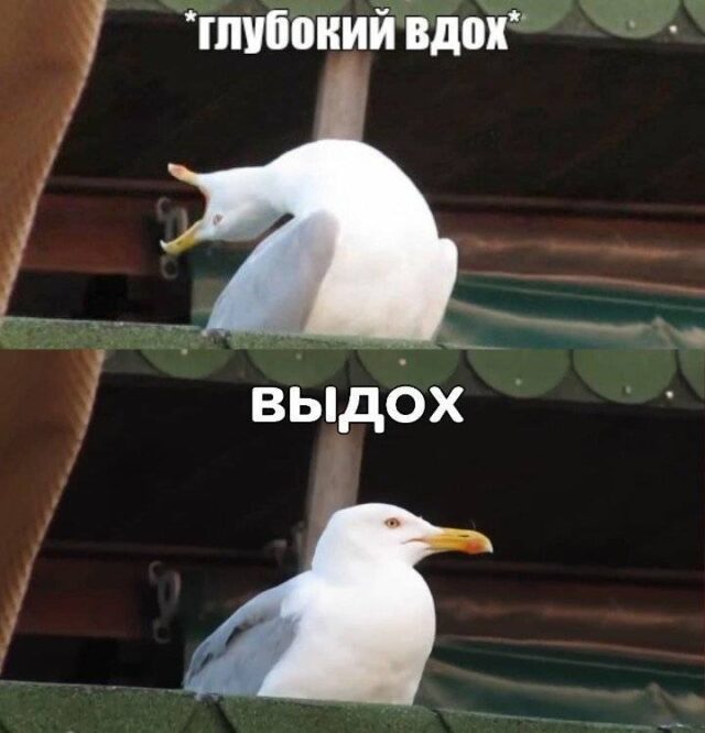Глубокие вдохи — всё. На 6 миллионов рублей оштрафовали организацию, устанавливающую рекорды по заде