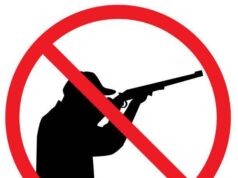 Любители пострелять больше не смогут купить охотничье ружье с сайтов.