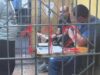 Мосгорсуд отклонил жалобу инвестора Битмамы на перевод из СИЗО под домашний арест. Мосгорсуд отклонил жалобу инвестора Битмамы на перевод из СИЗО под домашний арест.