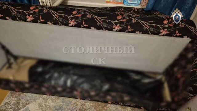 Тело убитой женщины нашли в диване в квартире на юго-востоке Москвы. Ее убил сосед и сбежал из Росси Тело убитой женщины нашли в диване в квартире на юго-востоке Москвы. Ее убил сосед и сбежал из Росси