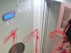 Мужчина жестоко избил дочь в лифте в Балашихе — его задержали, возбуждено уголовное дело.