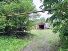Мужчина забил до смерти хозяйку дома поленом и покалечил двух детей и женщину в Тульской области.