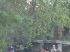 Женщина подстрекала сына избивать мальчика на детской площадке в Хабаровске. Женщина подстрекала сына избивать мальчика на детской площадке в Хабаровске.
