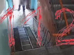В Тюмени девушка спасла 5-летнюю девочку от извращенца в подъезде. стали известны личности и обстоя