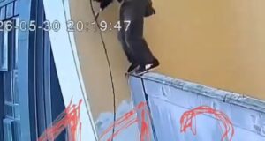 Подросток-руфер сорвался с крыши высотки в Петербурге.