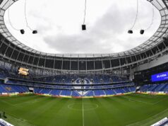 Эвакуация стадиона «Динамо» произошла из-за сигнала о возможной угрозе Футбольное поле на центральном стадионе Динамо - РИА Новости, 1920, 12.05.2026