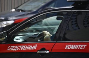 В Подмосковье завели дело против мужчины за ранение девочки ножом Автомобиль Следственного комитета России - РИА Новости, 1920, 15.05.2026