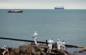 Очистка побережья в Туапсе от нефтепродуктов - РИА Новости, 1920, 20.05.2026