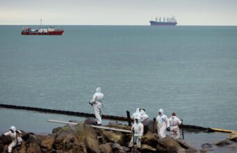 Около Туапсинского НПЗ ликвидировали разлив нефти и сделали земляной вал Очистка побережья в Туапсе от нефтепродуктов - РИА Новости, 1920, 20.05.2026