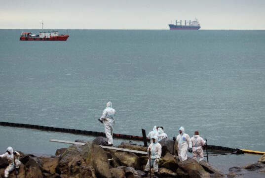 Около Туапсинского НПЗ ликвидировали разлив нефти и сделали земляной вал Очистка побережья в Туапсе от нефтепродуктов - РИА Новости, 1920, 20.05.2026