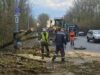 Специалисты убирают поваленные в результате шквалистого ветра деревья в Кирове - РИА Новости, 1920, 06.05.2026