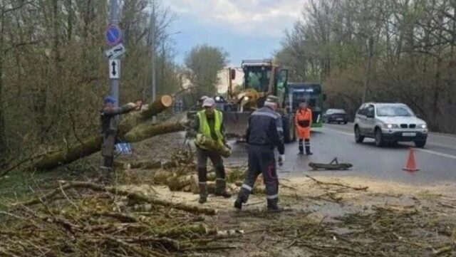 Специалисты убирают поваленные в результате шквалистого ветра деревья в Кирове - РИА Новости, 1920, 06.05.2026