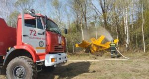 Сотрудники МЧС на месте жесткой посадки легкомоторного самолета в Красноярском крае - РИА Новости, 1920, 27.05.2026