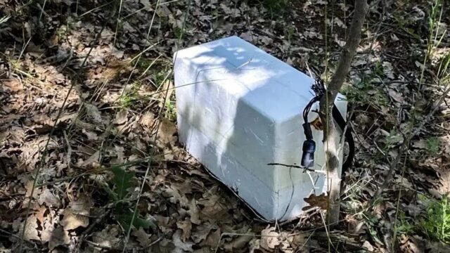 Развожаев: в Севастополе после атаки ВСУ обнаружили контейнер со взрывчаткой Контейнер со взрывчаткой, обнаруженный в Севастополе - РИА Новости, 1920, 27.05.2026