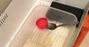Папаша решил передать сыну семейное дело — торговлю наркотиками.
