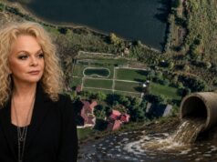 Ларису Долину могут выдворить с ее территории. МВД выяснит, кто сбрасывает с ее пруда сточные воды в прибрежную защитную Ларису Долину могут выдворить с ее территории. МВД выяснит, кто сбрасывает с ее пруда сточные воды в