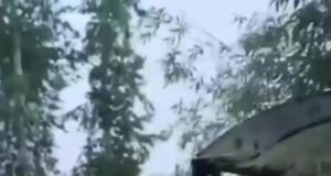 Медведь устроил незапланированную экскурсию по населённым пунктам Хабаровского края.