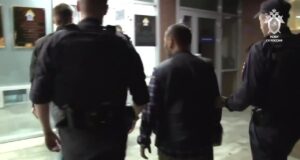 Задержаны директор транспортной компании и водитель автобуса, устроивший смертельное ДТП в Екатеринб