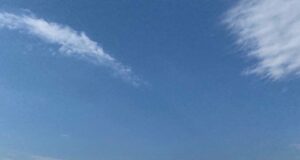Ребенок тонул и умирал в бассейне воронежского загородного комплекса, пока сотрудники слушали музыку