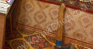 Пенсионер зарубил топором своего спящего сына в Калужской области.