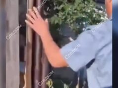 12-летнюю девочку убили на кладбище в Кемерове. Преступник попытался сжечь её тело.