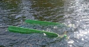 Мужчина перевернулся на катамаране в Строгинском затоне и едва не утонул.