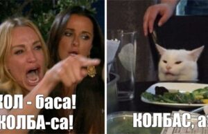 ОПГшница продала мужчину за 4 коробки колбасы в Ставрополе. ОПГшница продала мужчину за 4 коробки колбасы в Ставрополе.