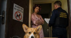 Корги пришлось съехать из квартиры в Петербурге по решению суда.