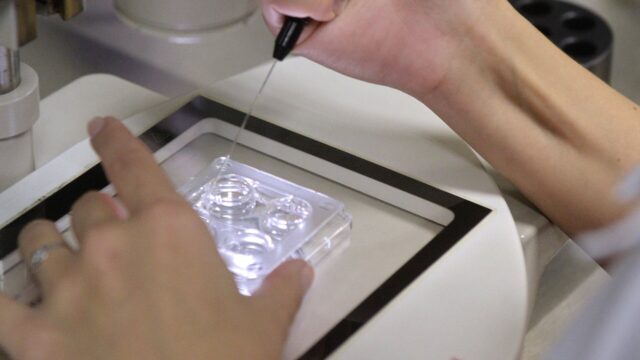 РИА Новости: РПЦ призвала устранить нарушения в сфере суррогатного материнства Центр акушерства, гинекологии и перинатологии им.Кулакова в Москве - РИА Новости, 1920, 12.06.2026