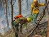 Тушение лесных пожаров - РИА Новости, 1920, 15.06.2026