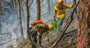 Тушение лесных пожаров - РИА Новости, 1920, 07.06.2026